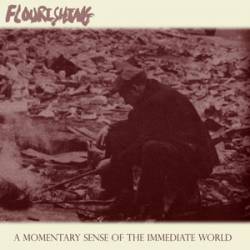 Flourishing : A Momentary Sense of the Immediate World